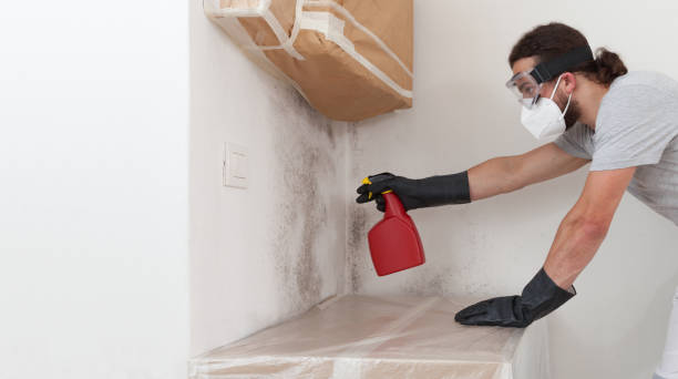 Professional Mold Removal technician working in Hainesport, NJ