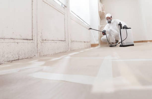 24/7 Emergency Mold Removal experts in Hainesport, NJ